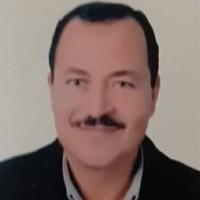 سامي سعيد إسماعيل