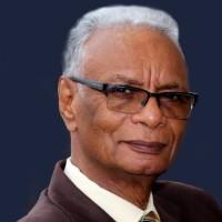 النور حمد