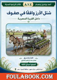 شتل الأرز واقفًا في صفوف داخل القرية المصرية