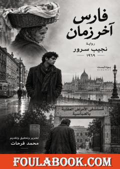 فارس آخر زمن